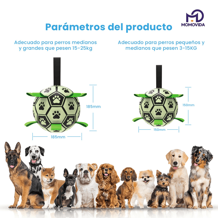 Pelota Luminosa Para Mascotas DT-8