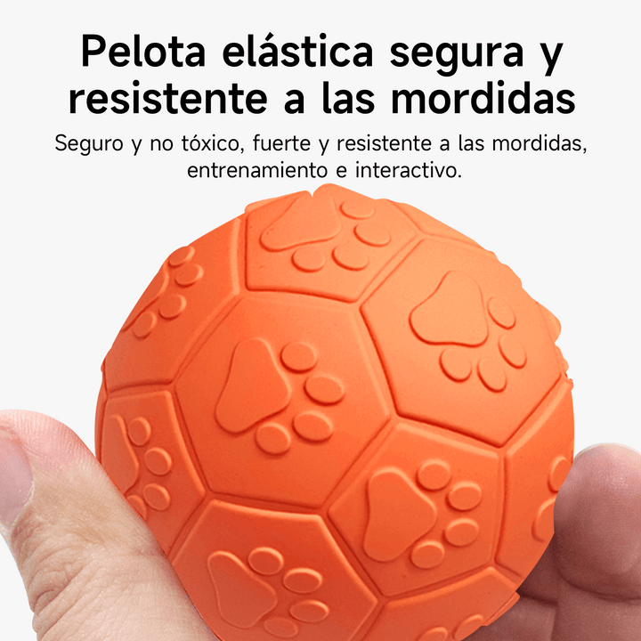 Pelota de Goma Pequeña con Sonido DT-15