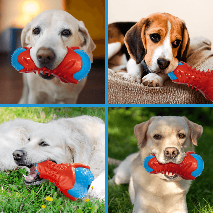 Juguete Dispensador Masticable Para Perro Palillo Dentición  DF-1