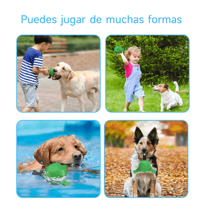 Pelota De Goma Para Mascotas Con Lanzador Dt-7