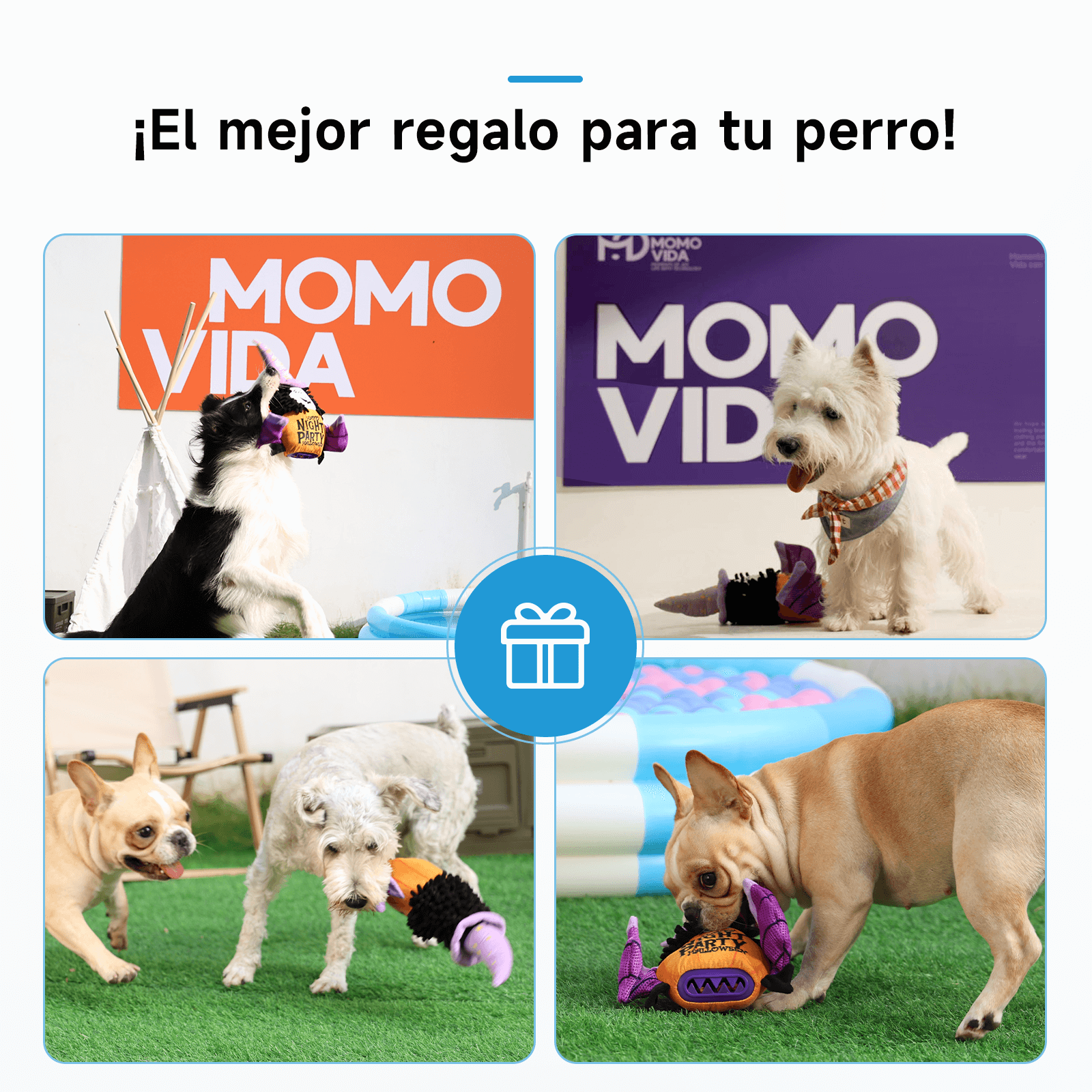 Imagen 4