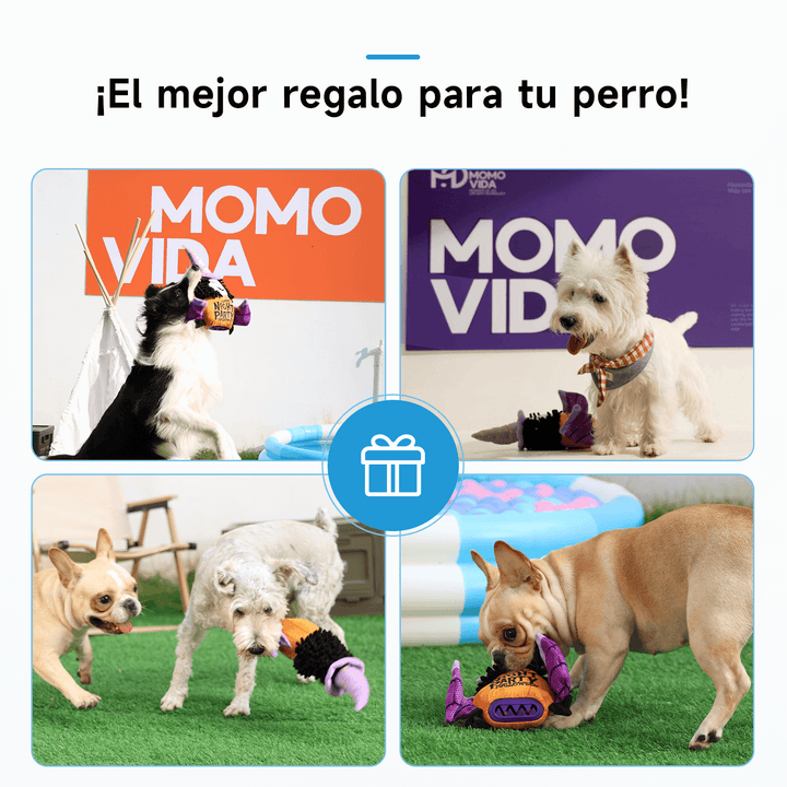 Juguete Interactivo con Sonido para Perros DT