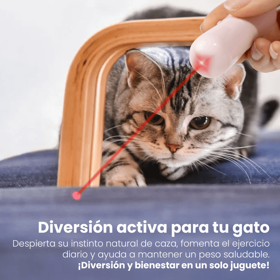 Puntero Láser Interactivo para Mascotas CT-4