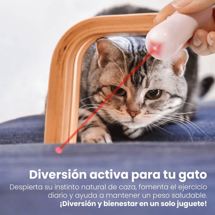 Puntero Láser Interactivo para Mascotas CT-4