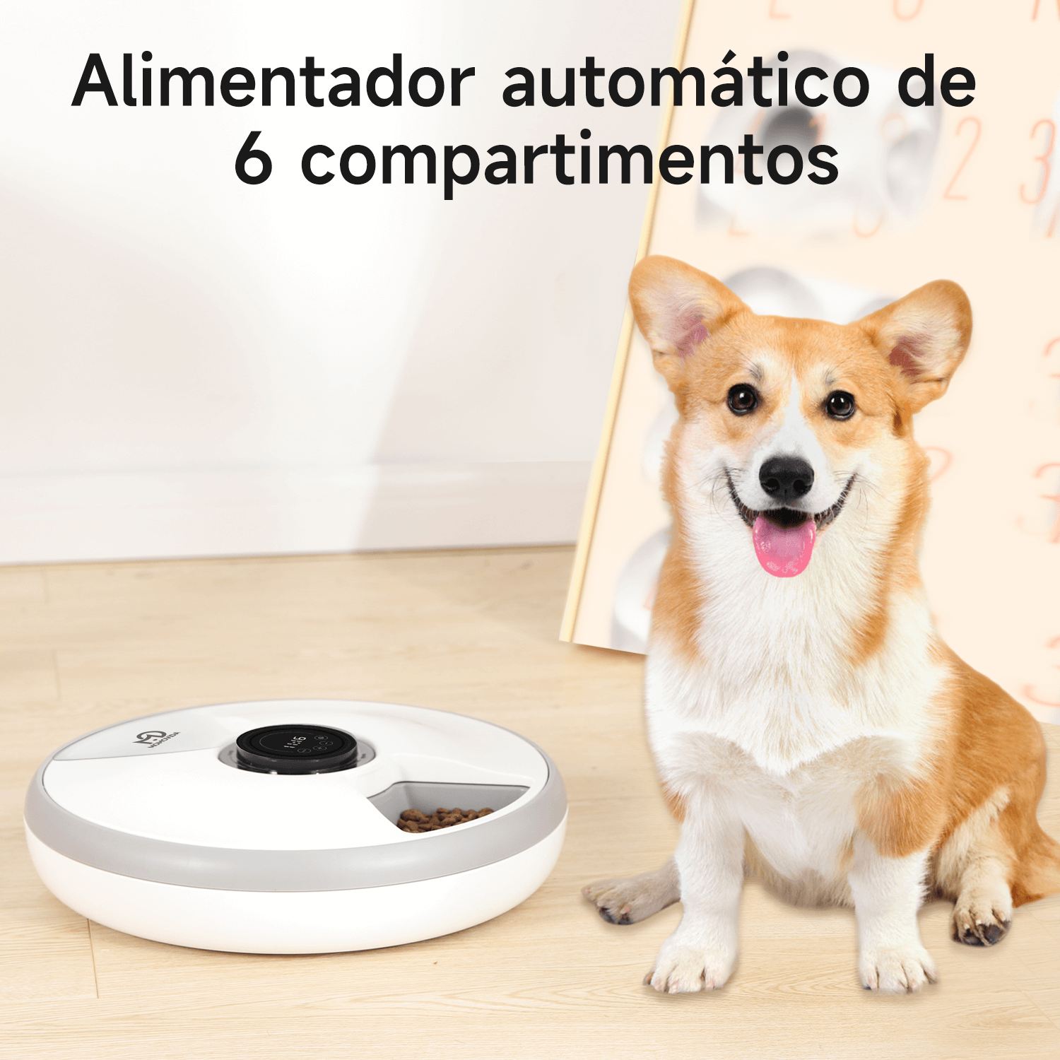 Imagen 2