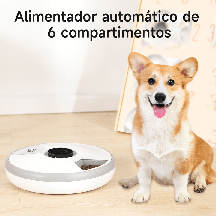 Comedero Automático de 6 Compartimientos para mascotas PF-1