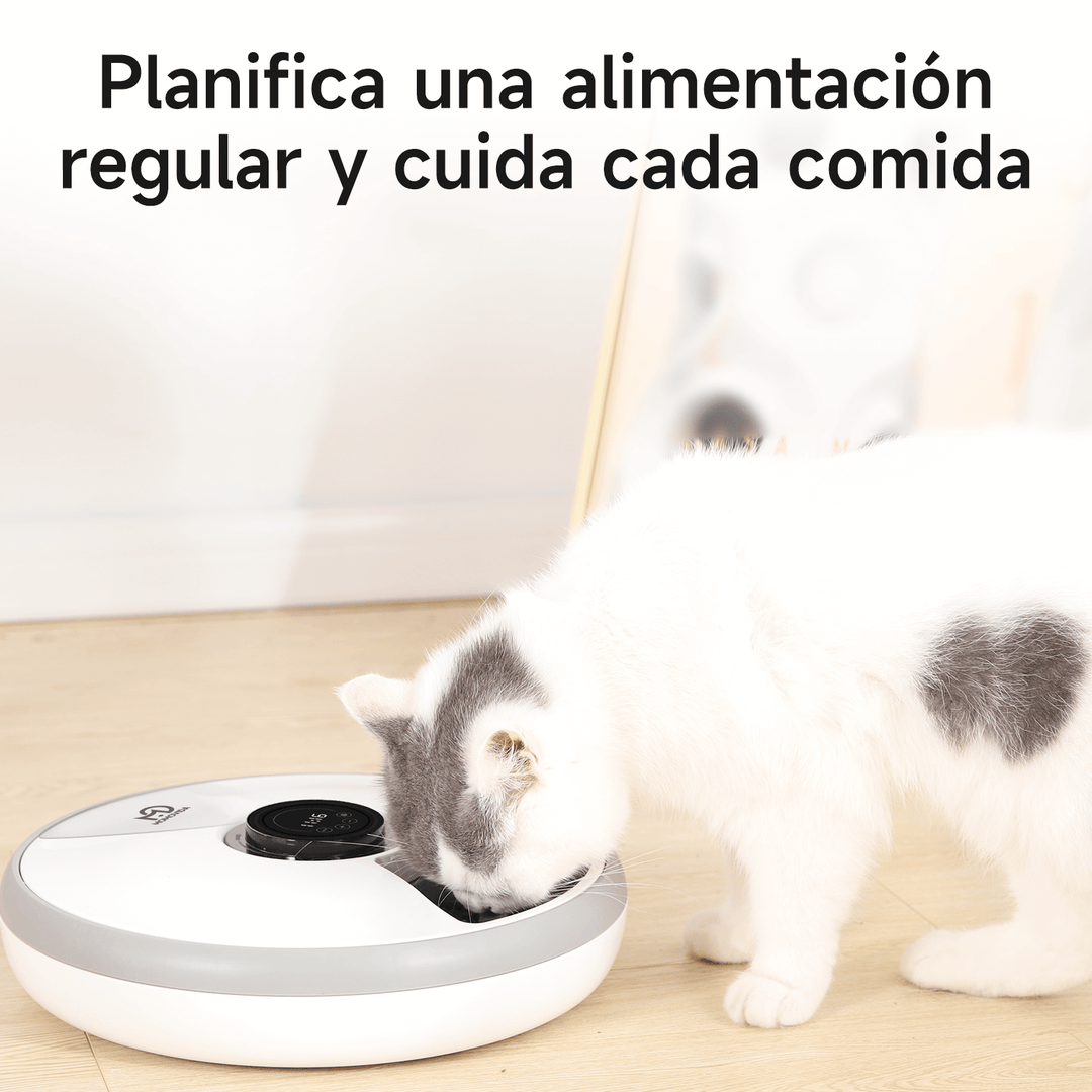 Comedero Automático de 6 Compartimientos para mascotas PF-1