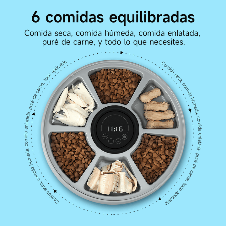 Comedero Automático de 6 Compartimientos para mascotas PF-1