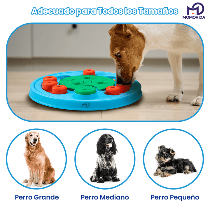 Juguete Interactivo para Perro: Rompecabezas Dispensador DT-2
