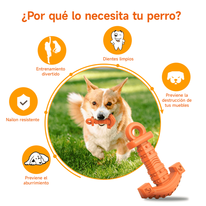Juguete Masticable en forma de Ancla DT-14