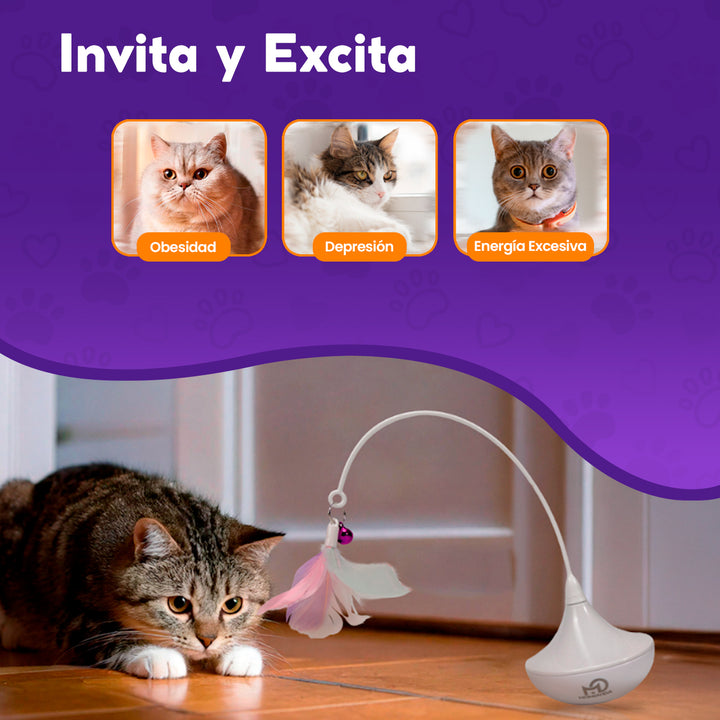 Juguete de Gota de Agua para Gatos Momovida CT-3
